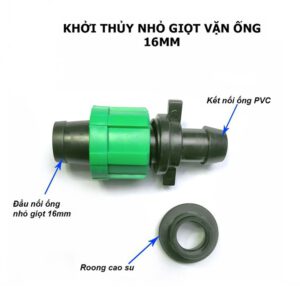 khởi thủy ko van